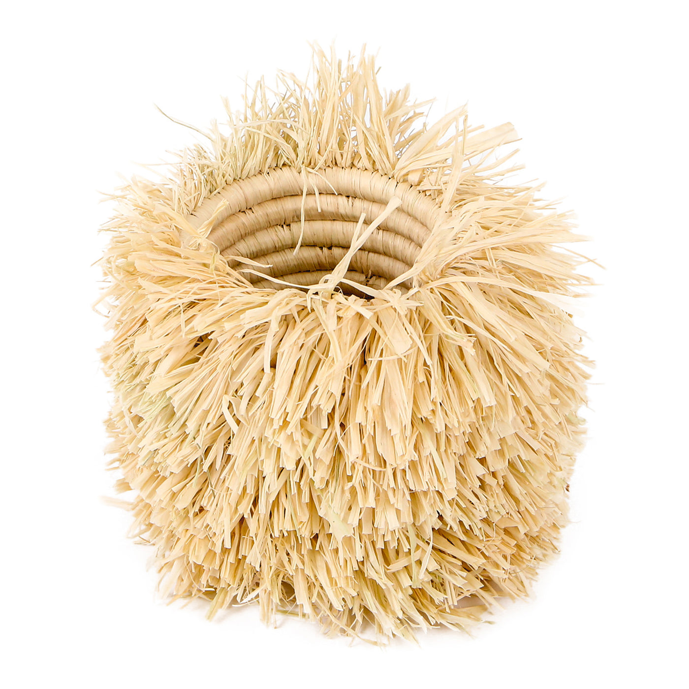 Neutral Brush Cup - 4" Bomba Natural