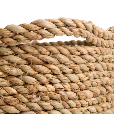 Storage Basket with Handles, Set of 2 - Cattail