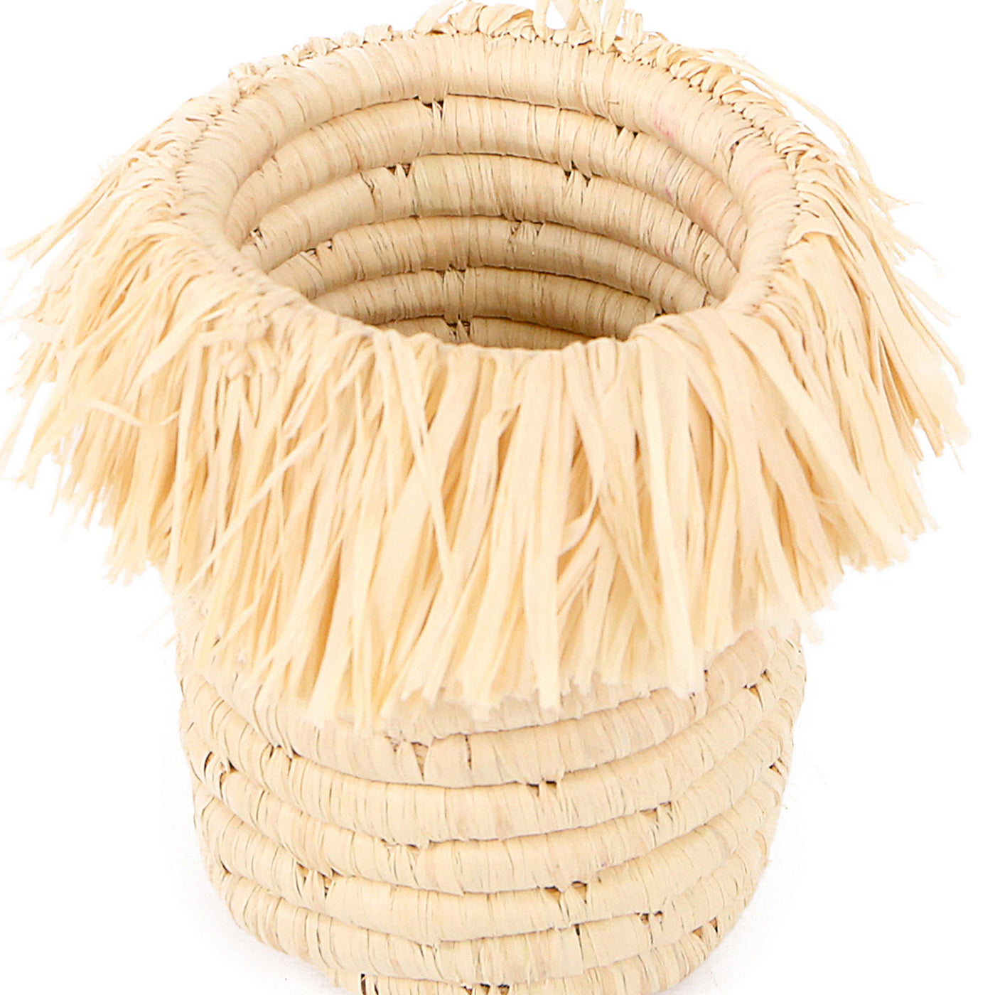 Neutral Brush Cup - 4" Fringed Natural