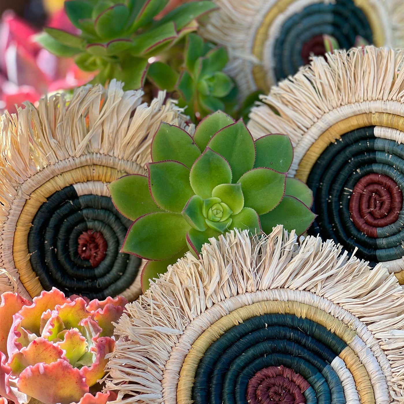 Nostalgia Woven Coasters - Fringed (Set of 4)