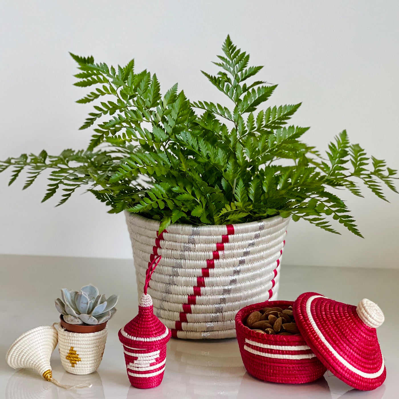 Holiday Planter - 7.5" Tapered Peppermint