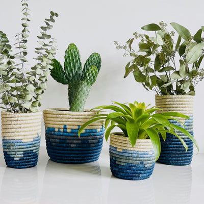 Coastal Planters - Tapered, Set of 2