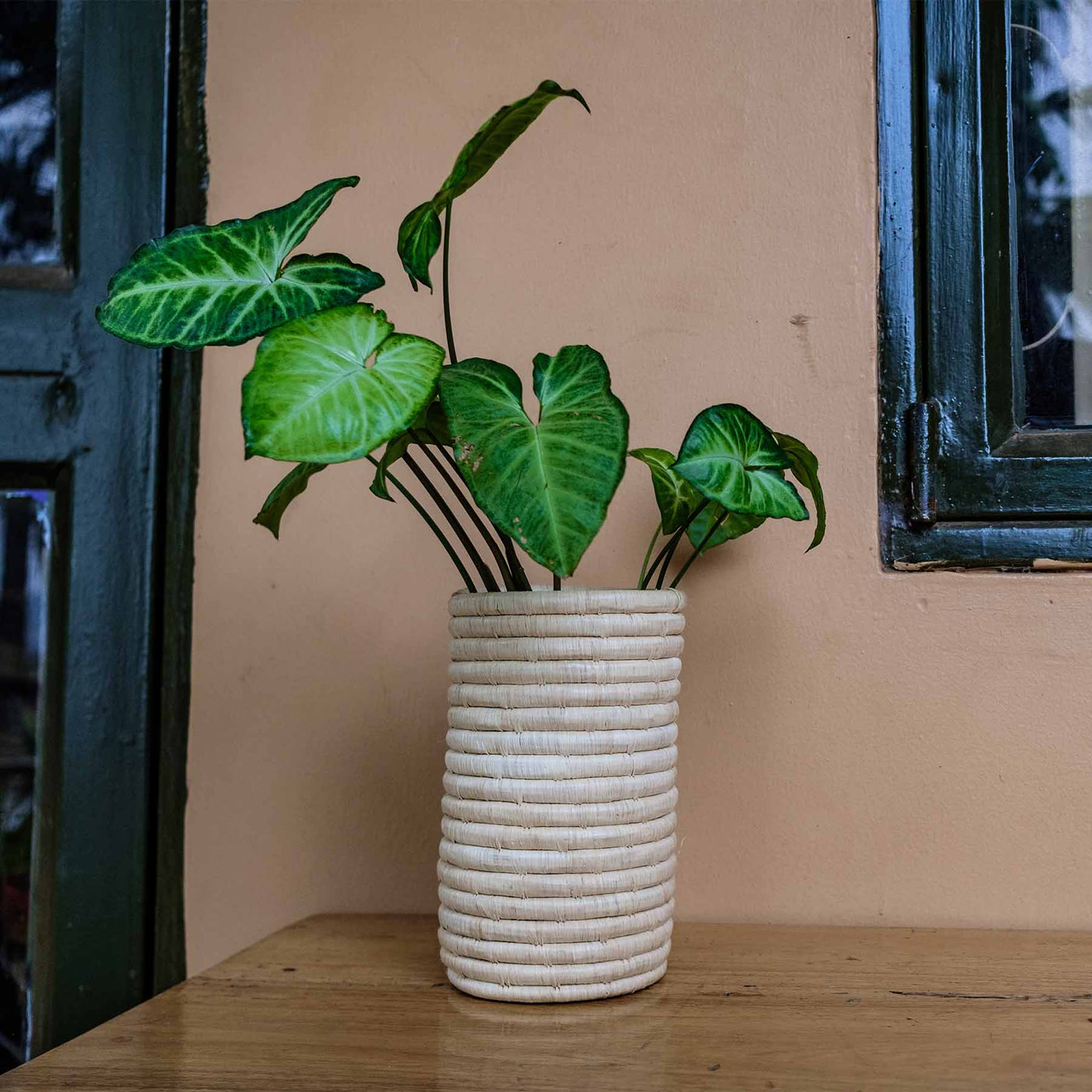 Natural Raffia Vase