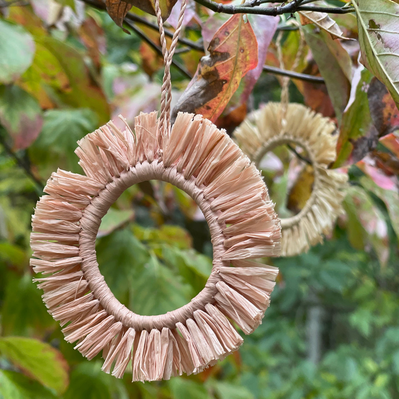 Natural Fringed Hoop Ornament