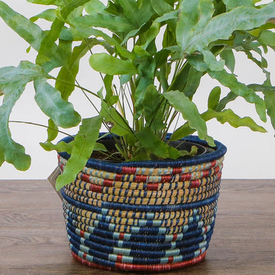 7" Blue Night Inzozi Tapered Planter
